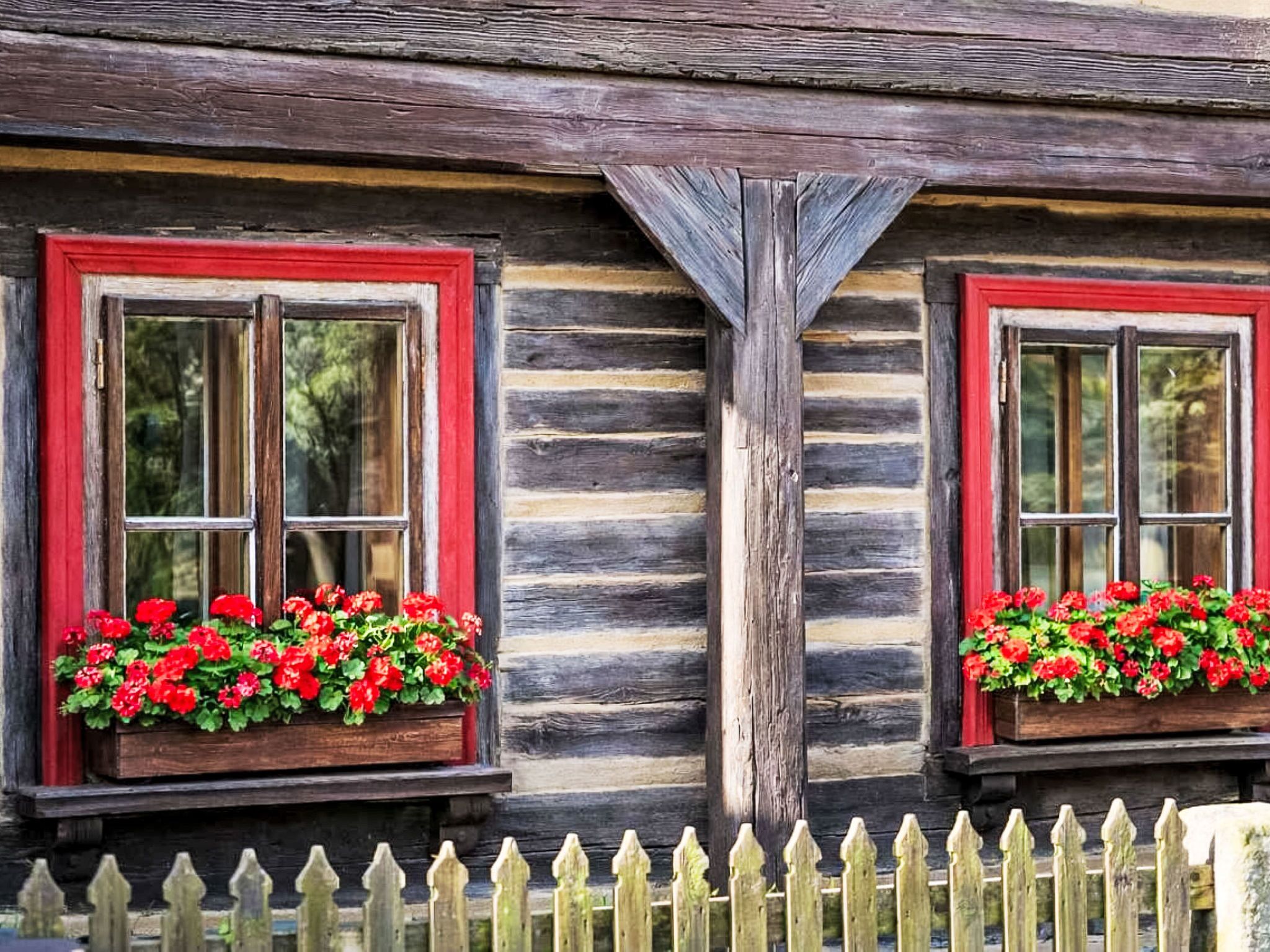 A log cabin with two windows, each with a red frame and a flower box containing red flowers.