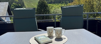 Waldesruh Duplex Vacation Rental, Sauerland, Willingen, Usseln, Mountain View
