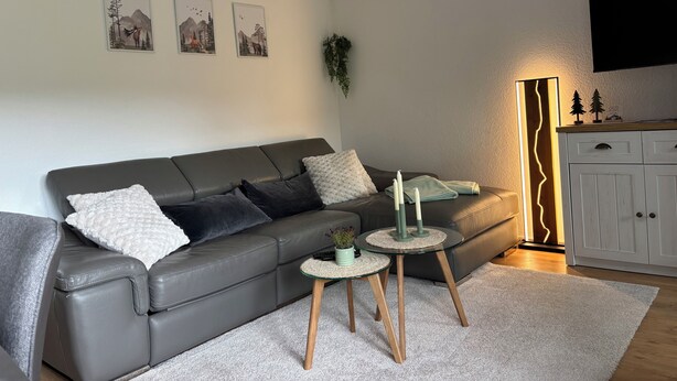 A modern living room with a grey leather sofa, two small side tables, a white rug, and a cabinet with a TV above.