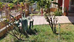 A residential garden with a paved patio, various plants, and a fence.
