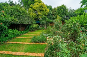 Property grounds - Single Self-Contained Rooms (Johannesburg)