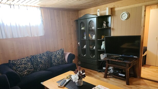 Téléviseur, foyer, jeux vidéo