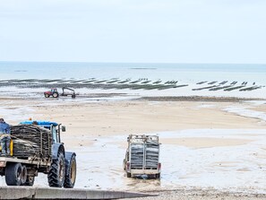 Ein Strand mit einem Traktor, einem Anhänger und einer Reihe Holzpfählen im Wasser.