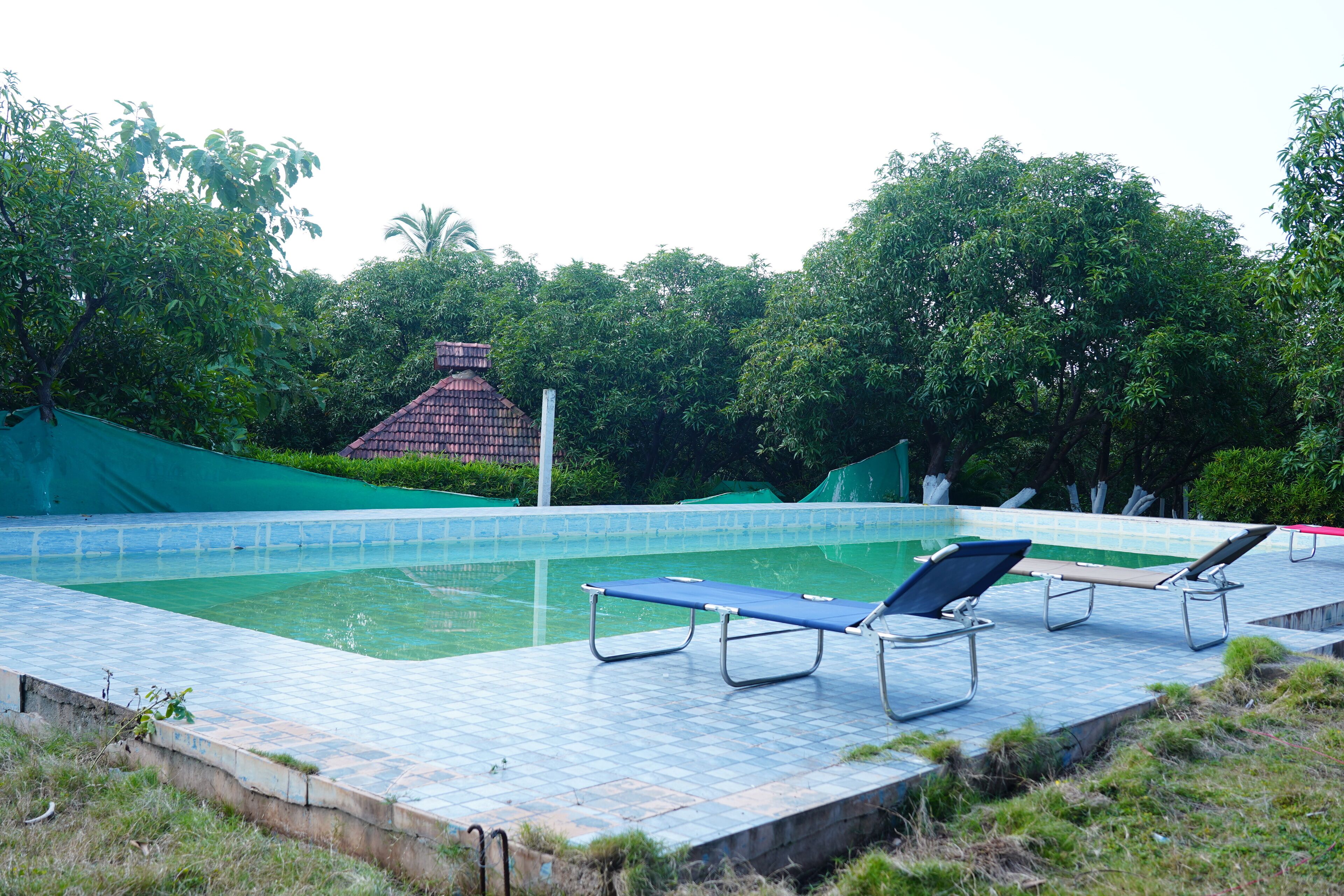 A swimming pool with a tiled deck, surrounded by lush greenery and a thatched-roof structure in the background.