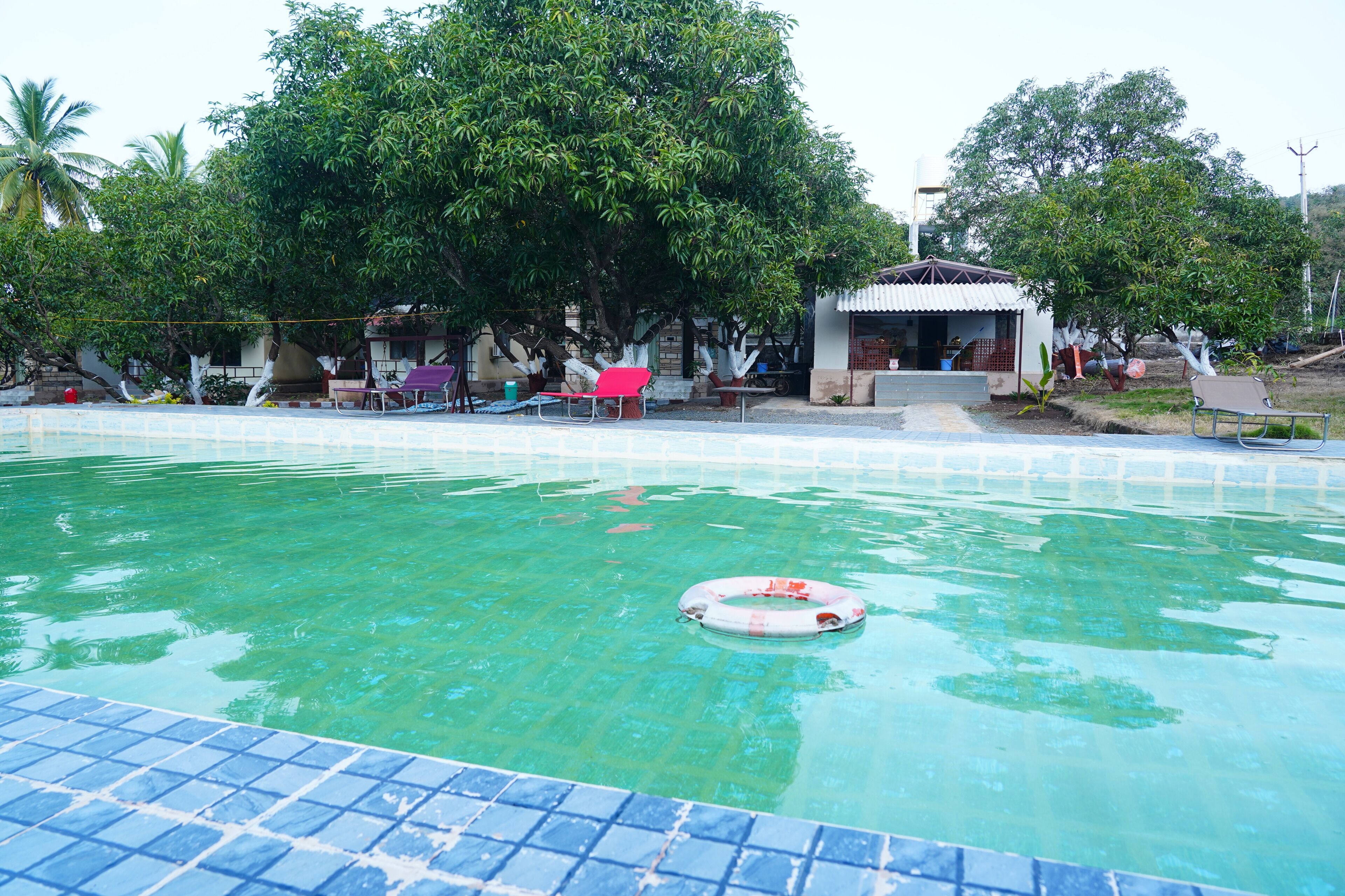 A swimming pool with clear water, surrounded by trees and a small building with a roof.