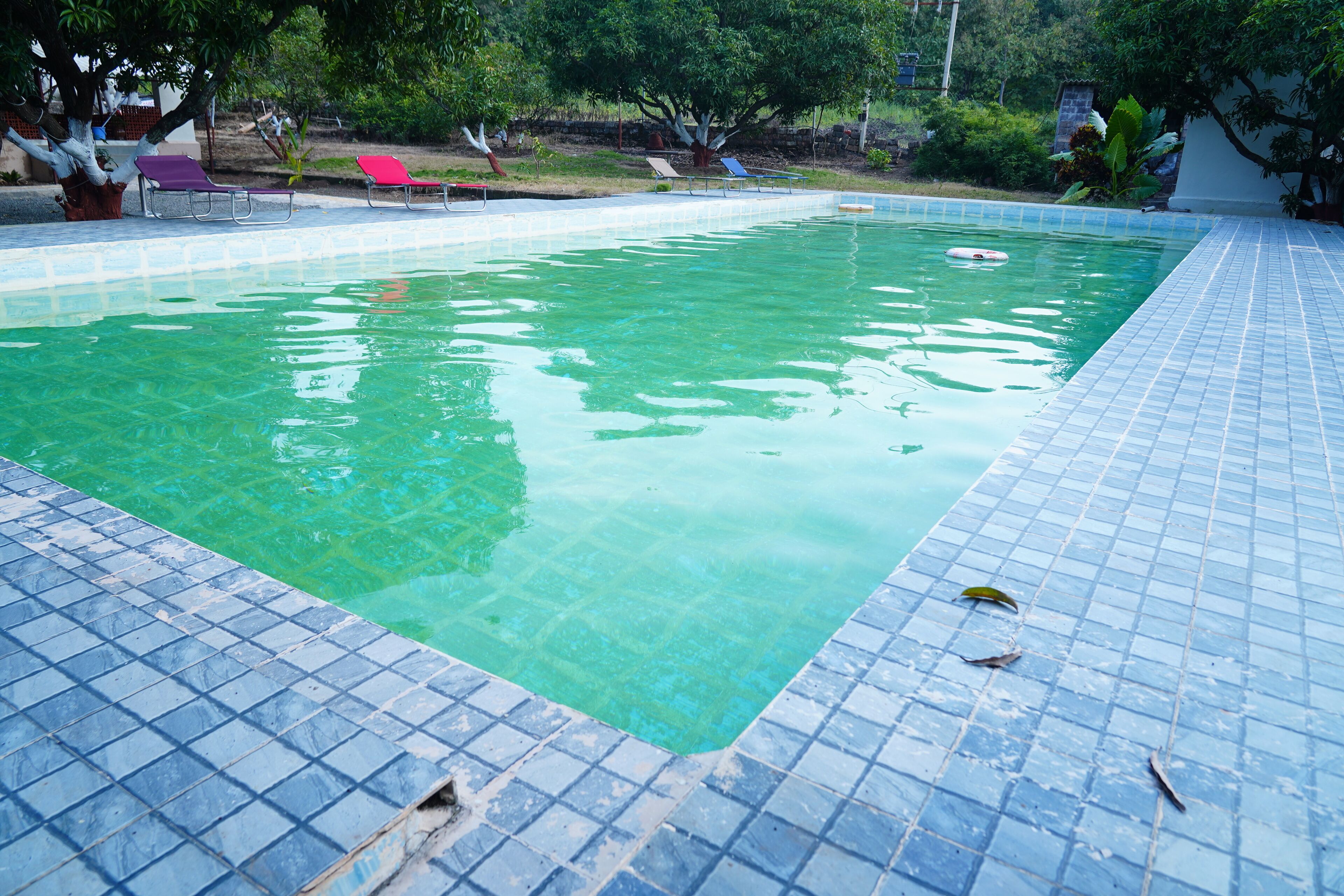 Hồ bơi ngoài trời 