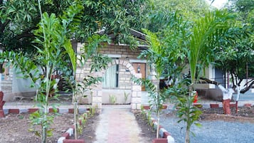 Un camino que lleva a un pequeño edificio de fachada de piedra, rodeado de abundante vegetación y plantas jóvenes.
