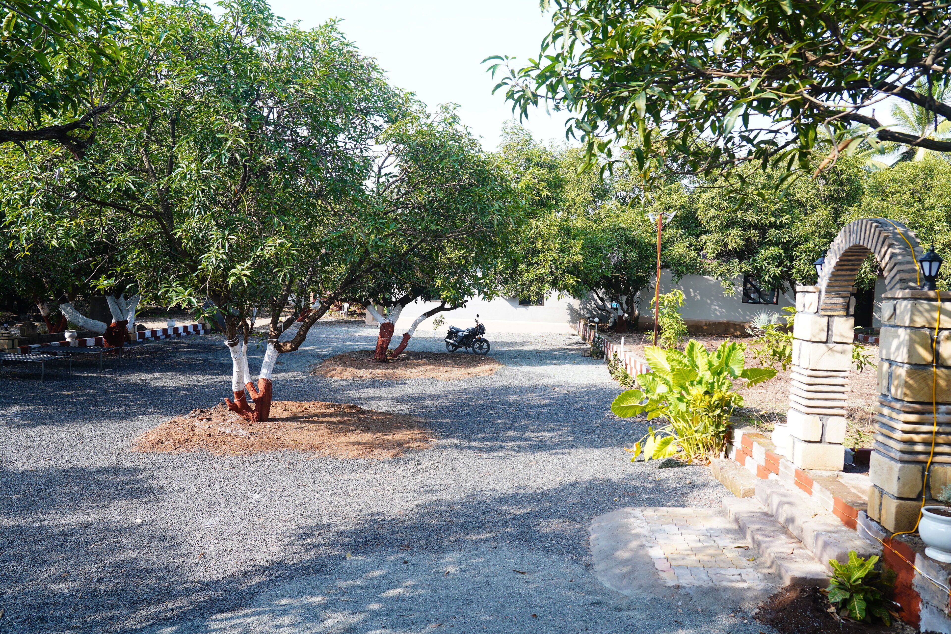 Un camino pavimentado que lleva a una entrada con portón y un arco de piedra, rodeado de abundante vegetación y árboles.