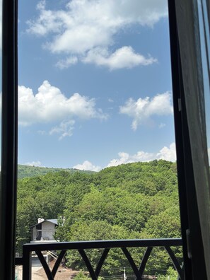 A view through a window of a lush green landscape with a clear sky.