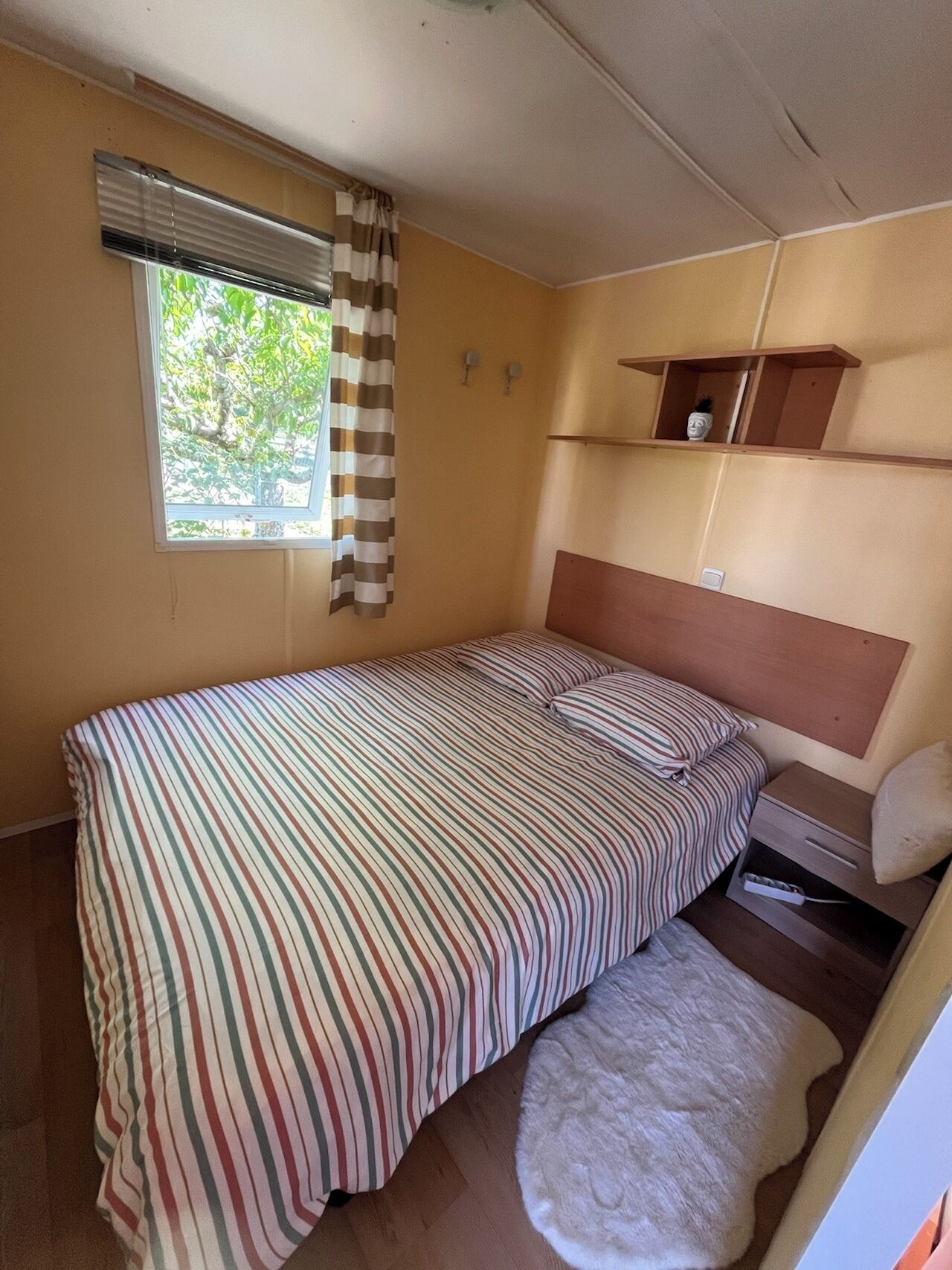 A single bed with a striped bedspread, a window with curtains, a wall-mounted shelf with a plant, and a white furry rug.
