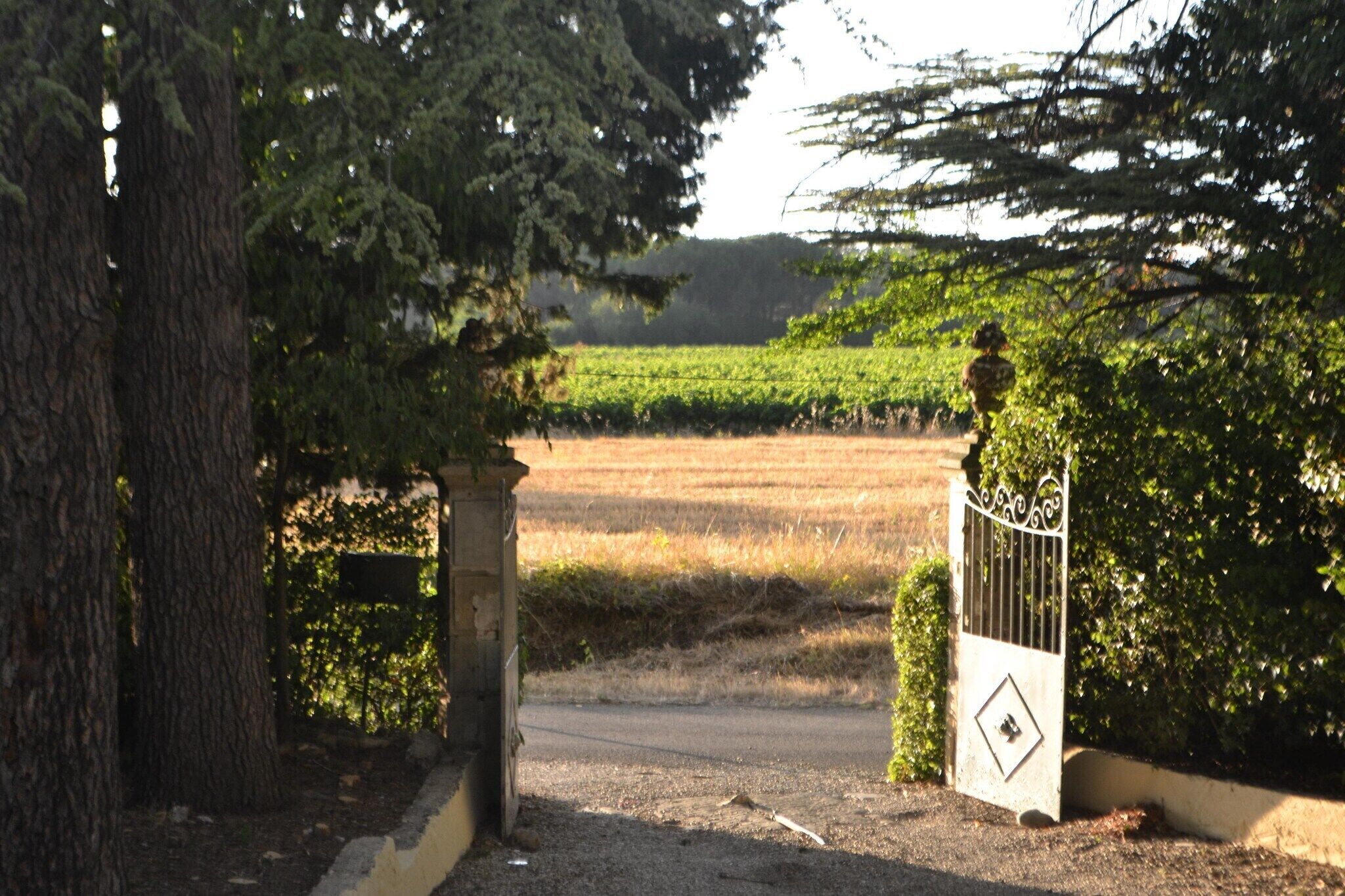 A gated entrance to a property with a paved driveway leading to a field.