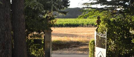 A gated entrance to a property with a paved driveway leading to a field.