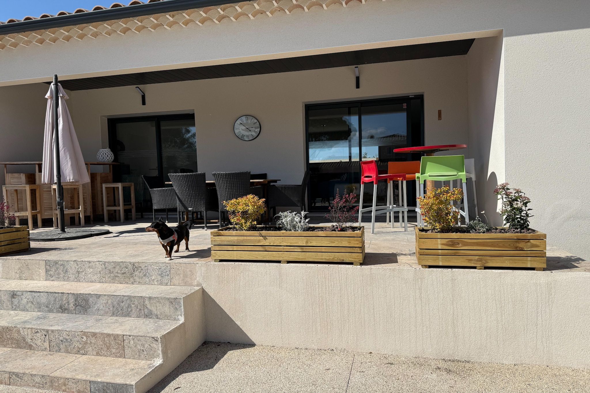 An outdoor seating area with wooden chairs, a dog, and a clock on the wall.