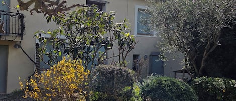 Un patio con un edificio, un árbol y un jardín.