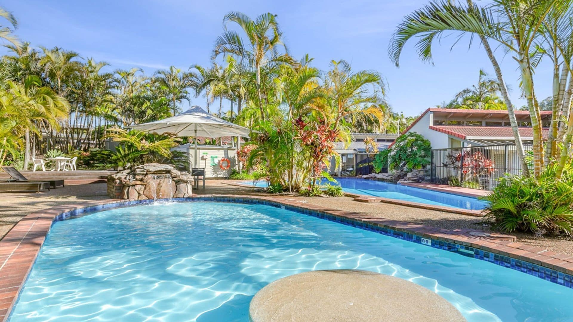 A swimming pool with a stone edge, surrounded by palm trees and a covered seating area.
