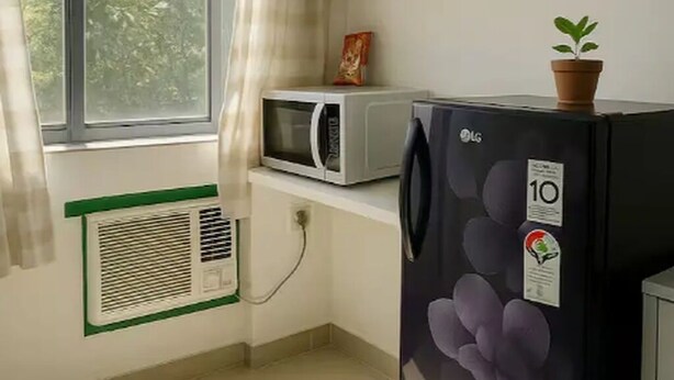 Cocina compacta con microondas, refrigerador y una pequeña planta en maceta sobre el refrigerador.