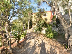 A pathway leading to a building surrounded by trees and vegetation. - Collina Lagomare by Interhome (Corsanico)