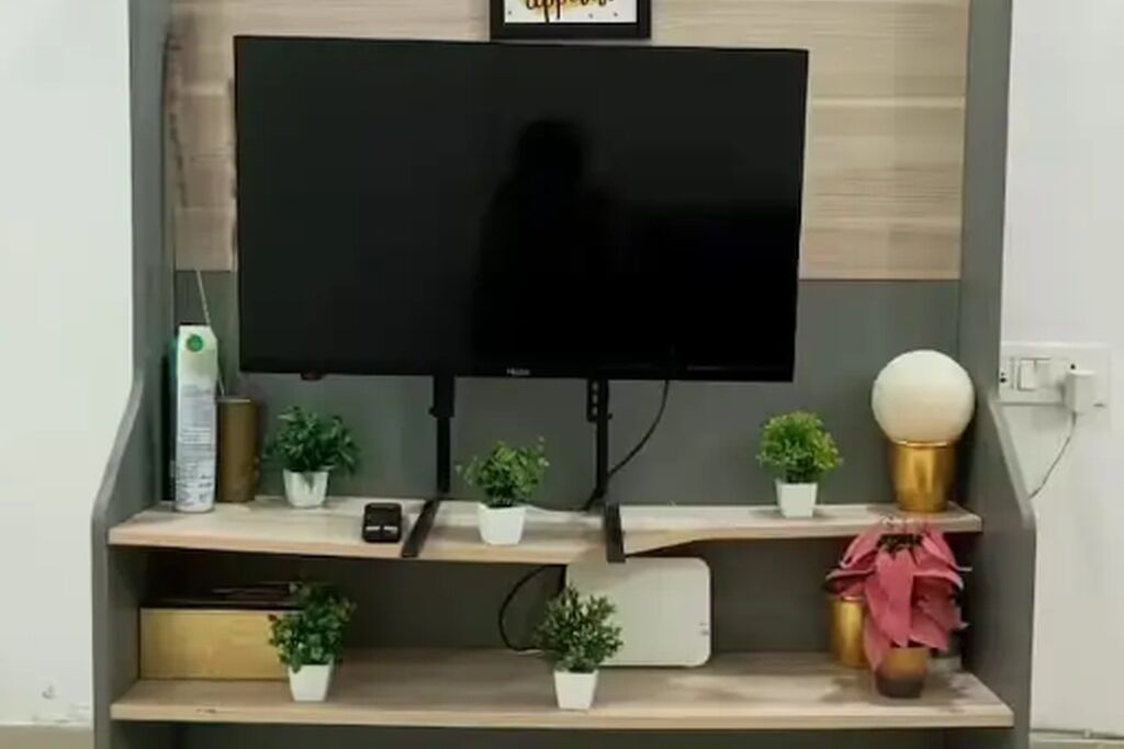 電視