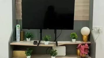 Fernseher