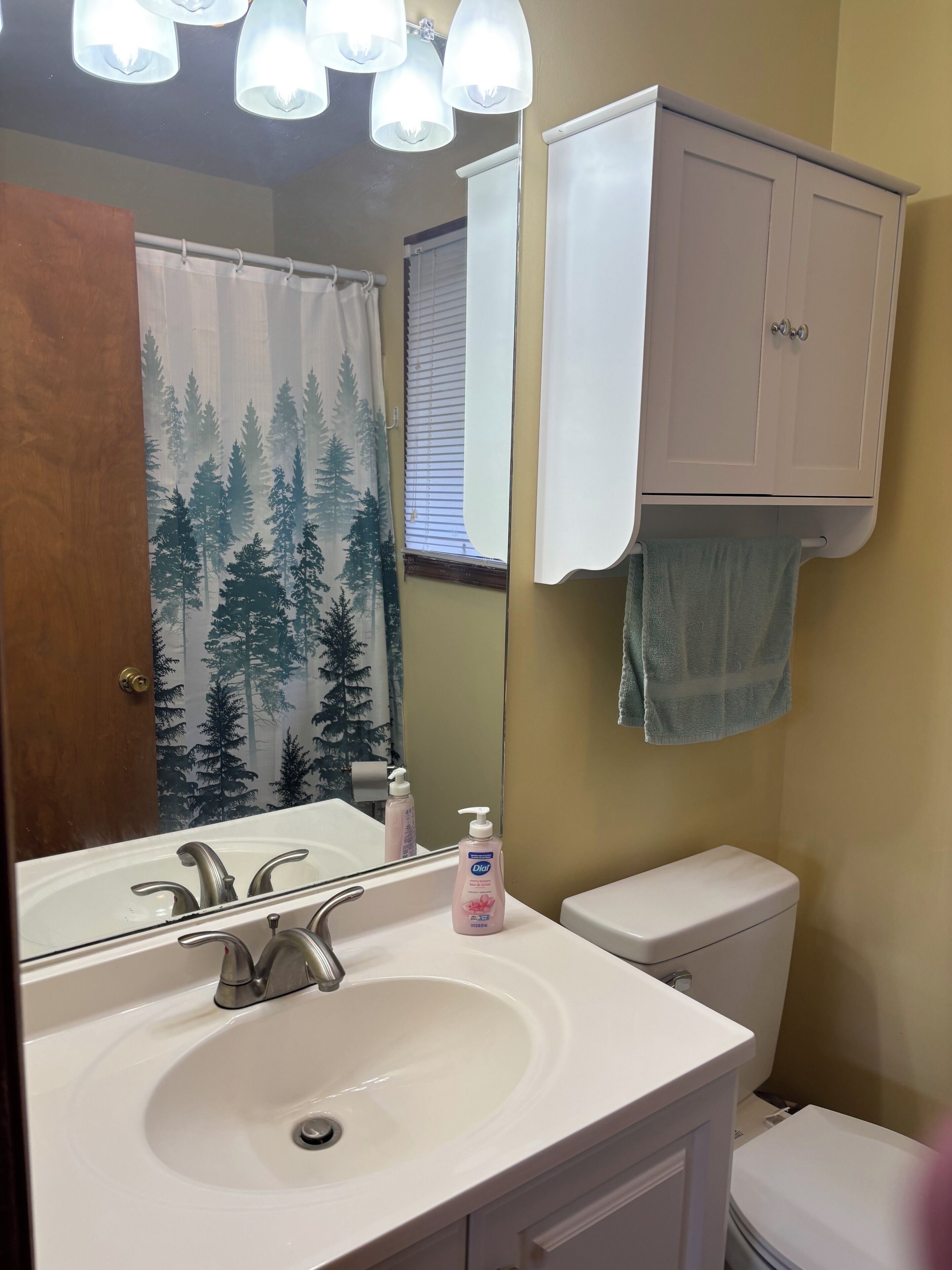 Une salle de bain avec un lavabo blanc, un miroir, des toilettes et un meuble de rangement.
