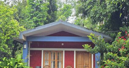 Coffeepolo Resorts Wayanad