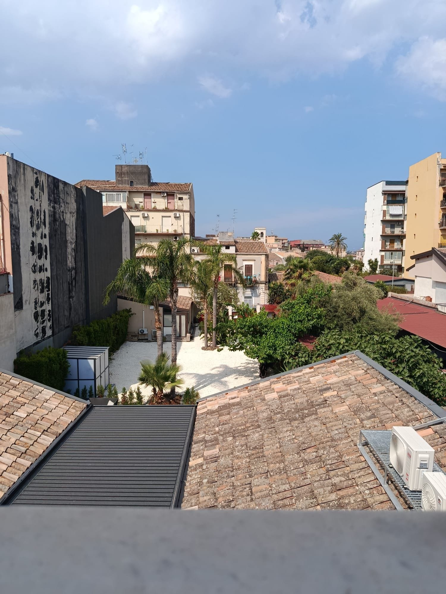 Terraza en la azotea con vistas a edificios circundantes, una palmera y un pequeño jardín.