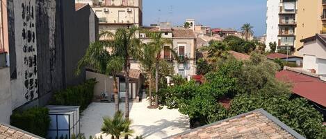 Terraza en la azotea con vistas a edificios circundantes, una palmera y un pequeño jardín.