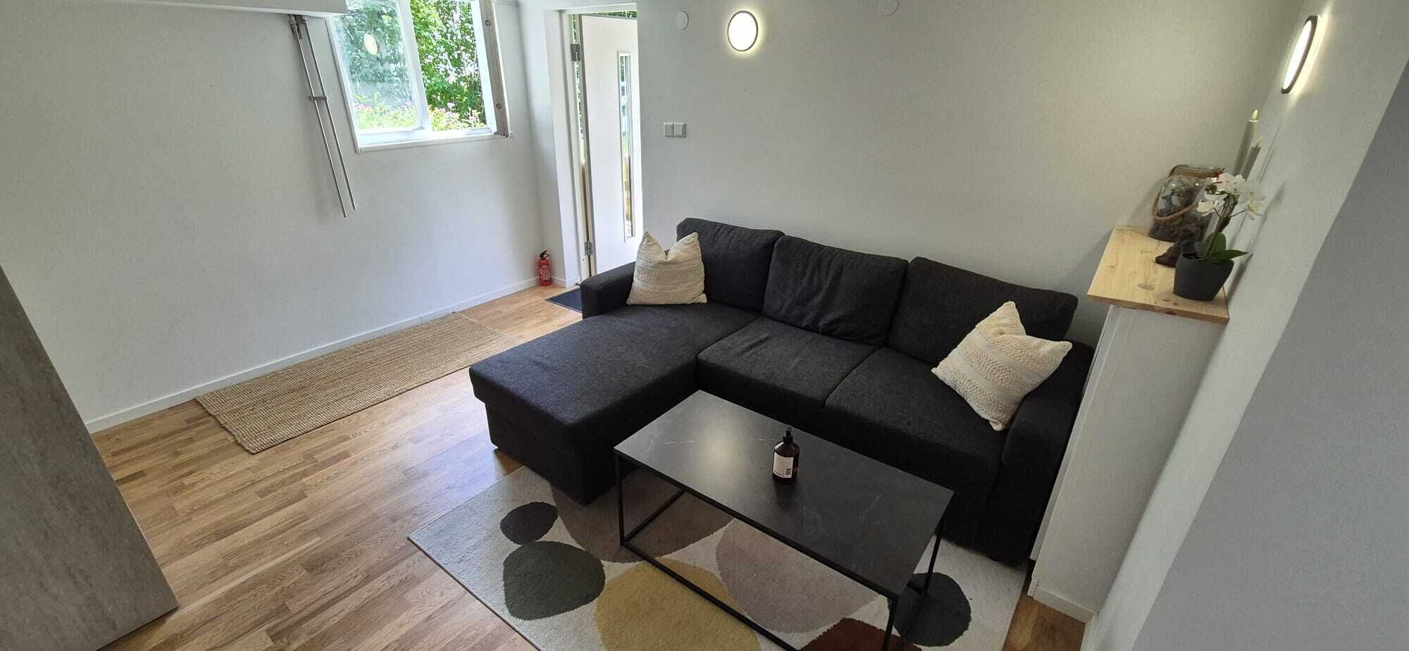 A modern living room with a sectional sofa, a coffee table, and a small rug.
