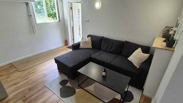 A modern living room with a sectional sofa, a coffee table, and a small rug.