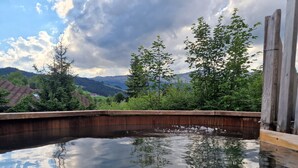 A swimming pool with a wooden edge, surrounded by trees and a view of distant mountains. - An authentic chalet atmosphere with mountain views (Flühli)