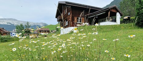 A wooden house with a sloped roof, surrounded by a grassy field with daisies, and a mountain in the background.