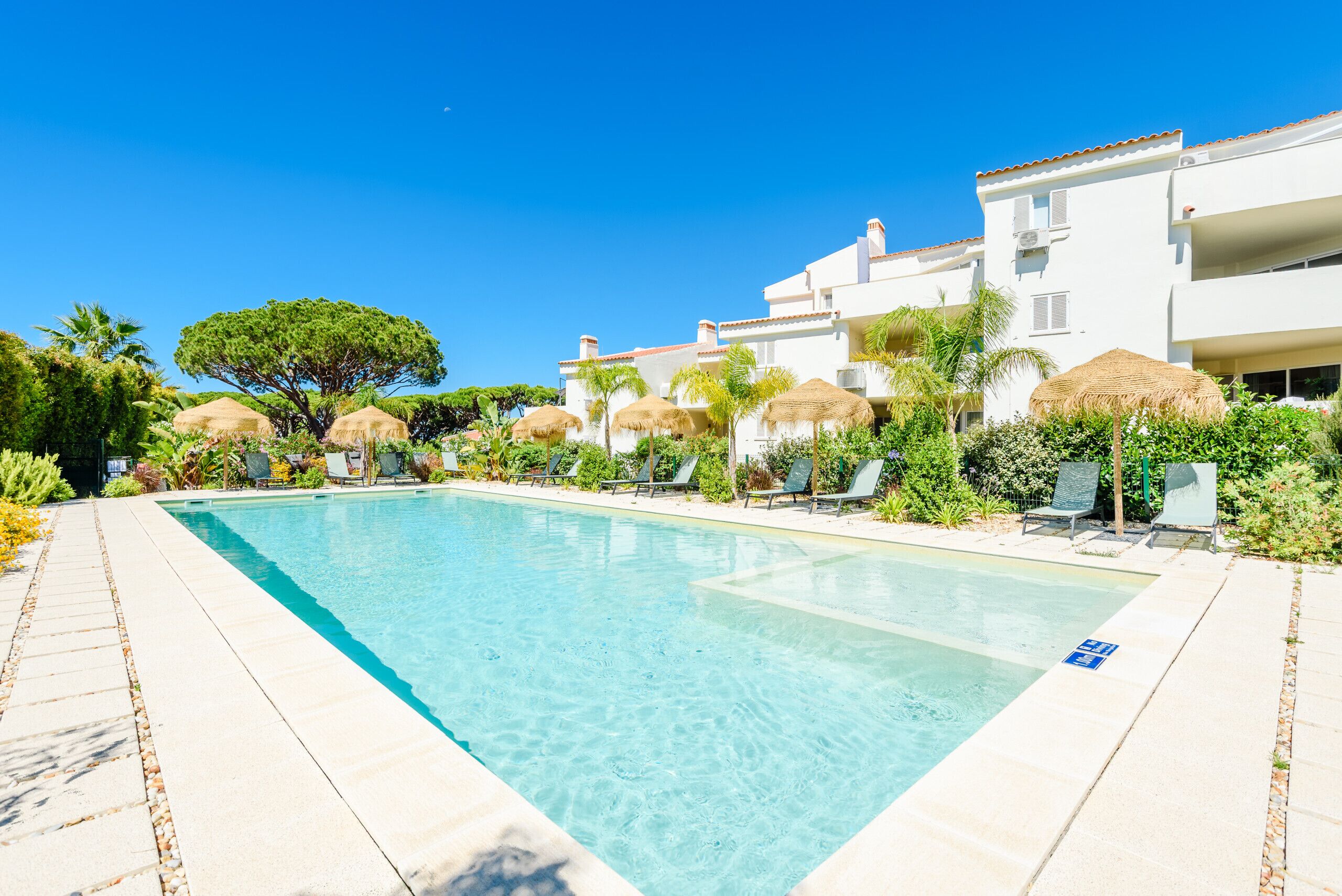 Una piscina cristalina con sillas de descanso y sombrillas de paja, rodeada de edificios blancos y follaje.