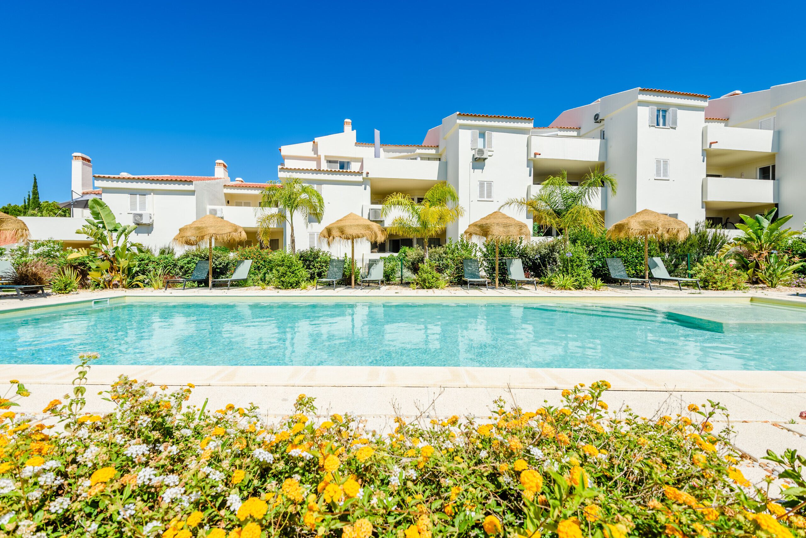 A poolside view of a resort with white buildings, palm trees, and a clear blue sky.