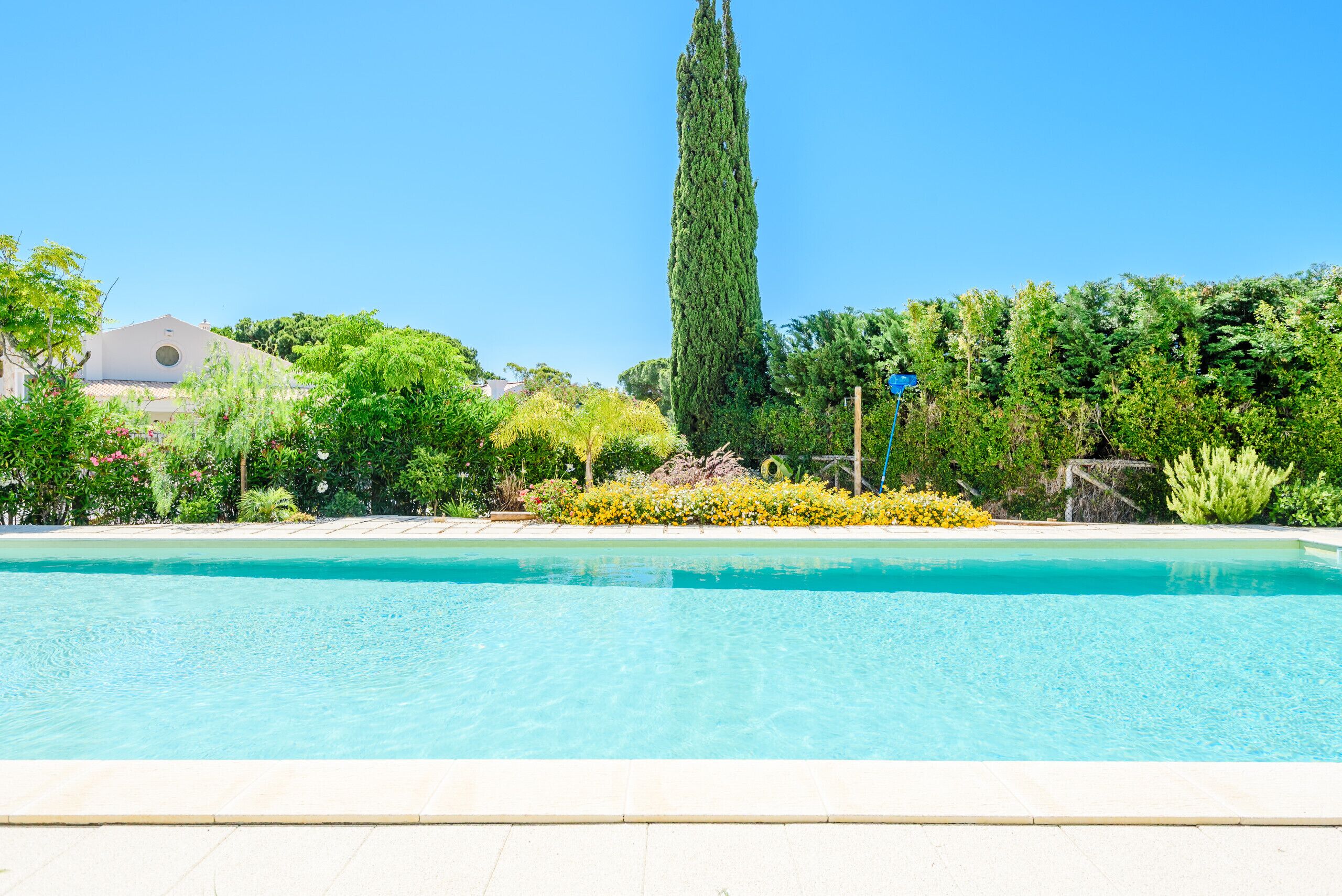 A clear blue swimming pool with a white deck, surrounded by lush greenery and a tall coniferous tree.