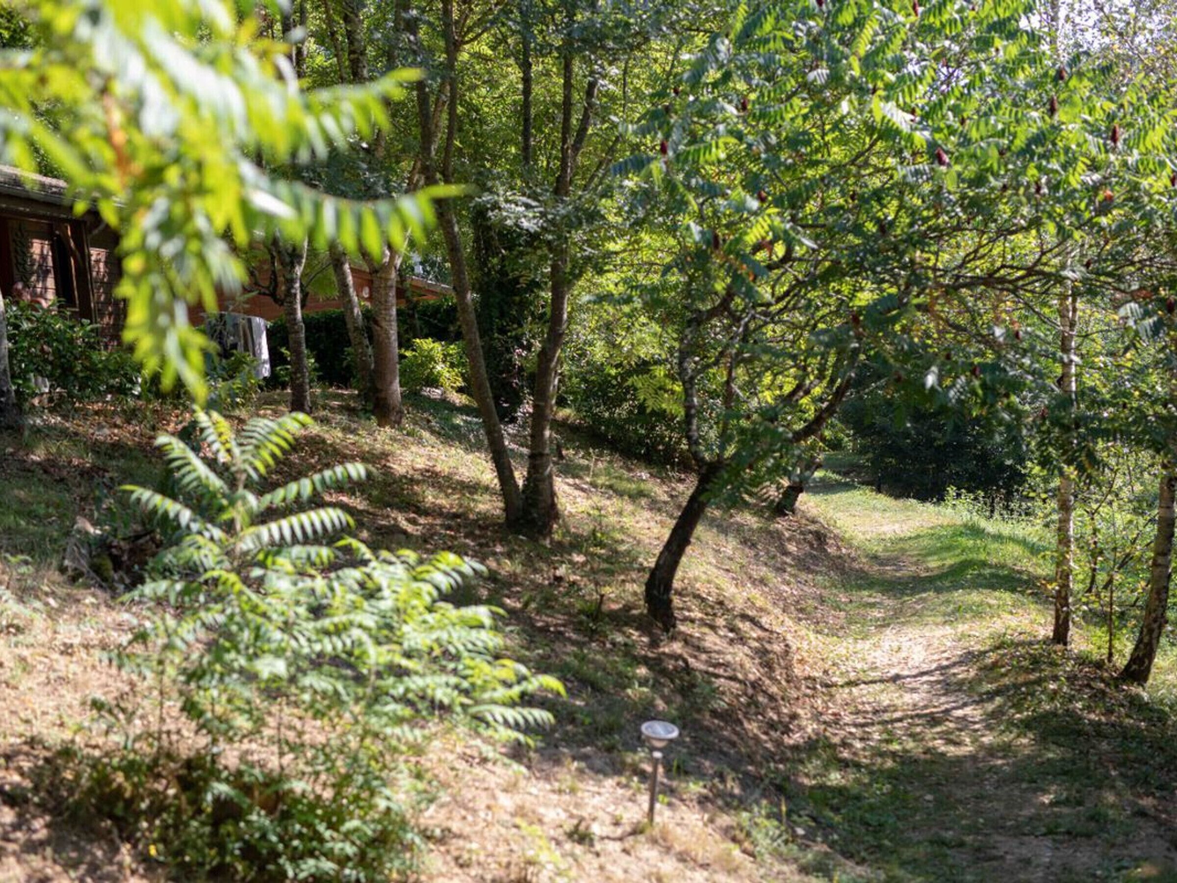 A wooded area with a dirt path, trees, and a small structure in the background.