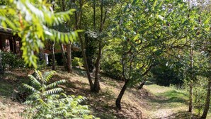A wooded area with a dirt path, trees, and a small structure in the background. - Cozy chalet in La Gazonne - 5 guests (Sauveterre-de-Rouergue)