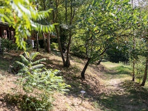 A wooded area with a dirt path, trees, and a small structure in the background. - Cozy chalet in La Gazonne - 5 guests (Sauveterre-de-Rouergue)