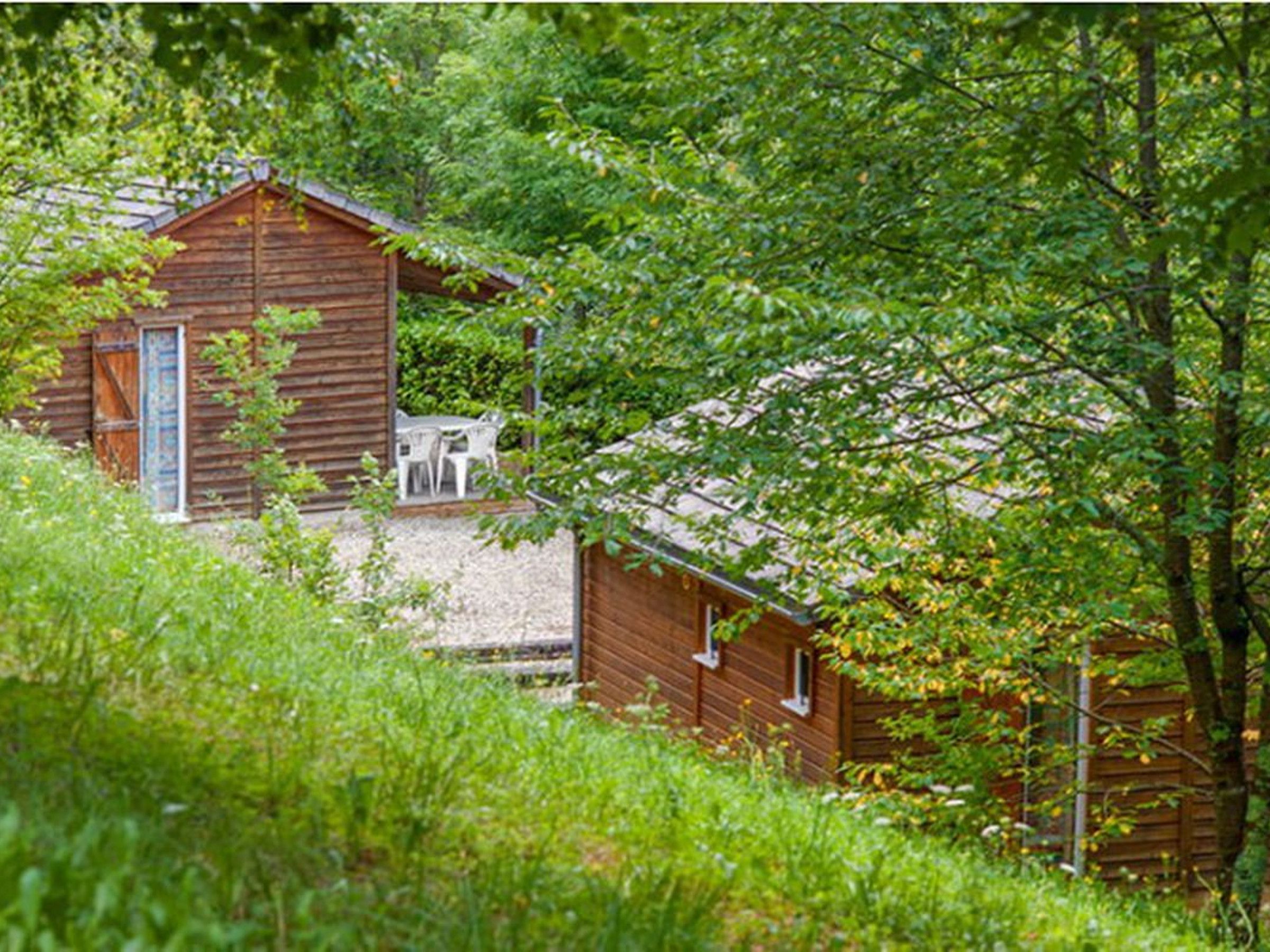 A rustic wooden cabin surrounded by dense greenery.