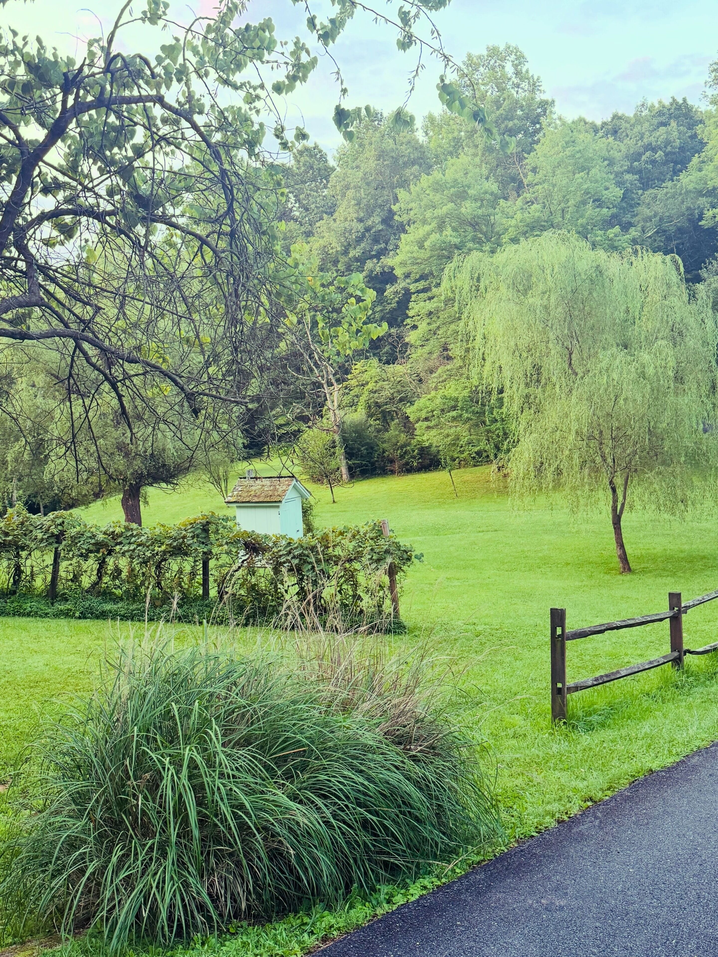 A rural landscape with a wooden fence, a small building, and a grassy field.