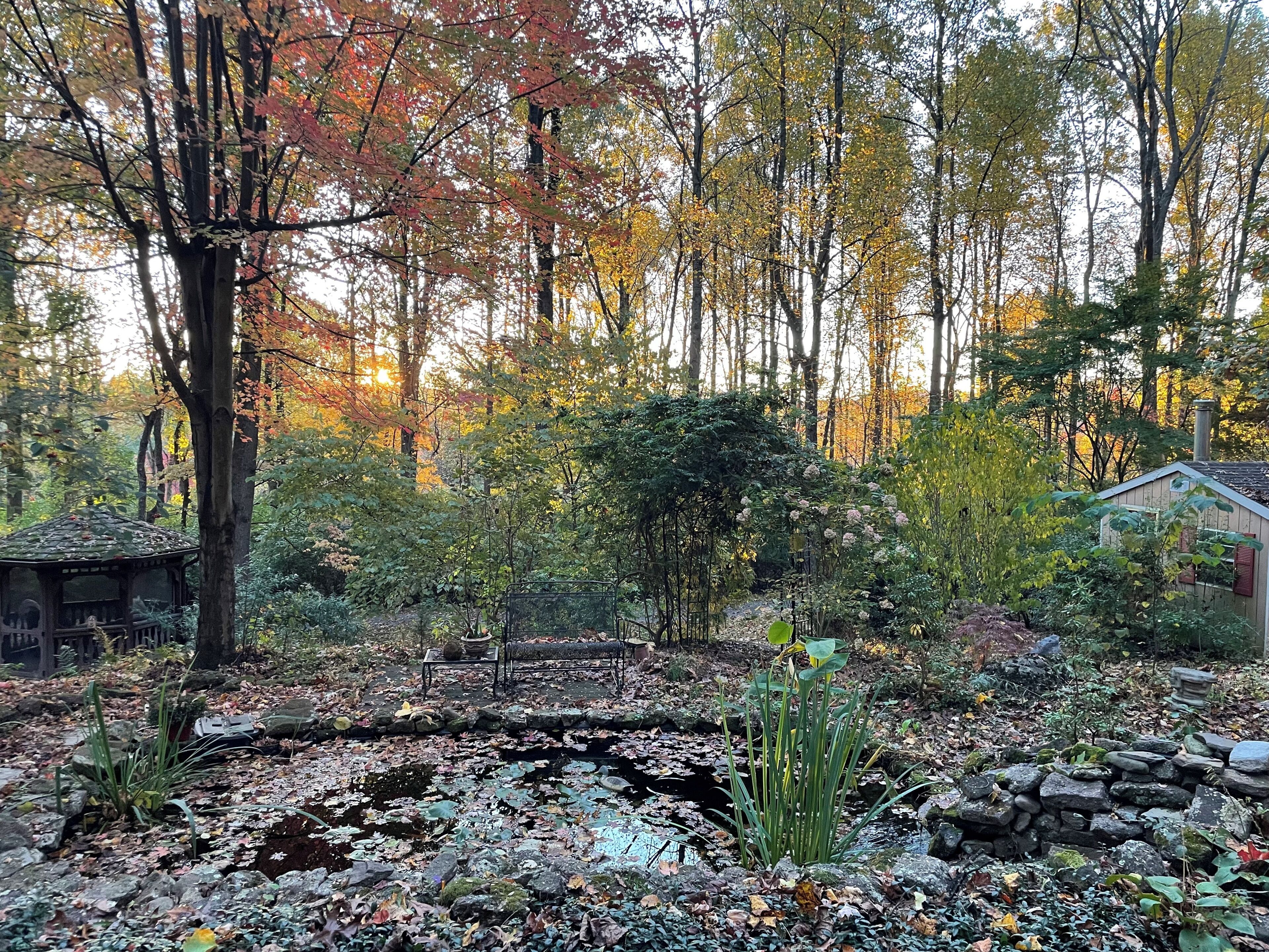 A garden with a pond, stone wall, and a gazebo.