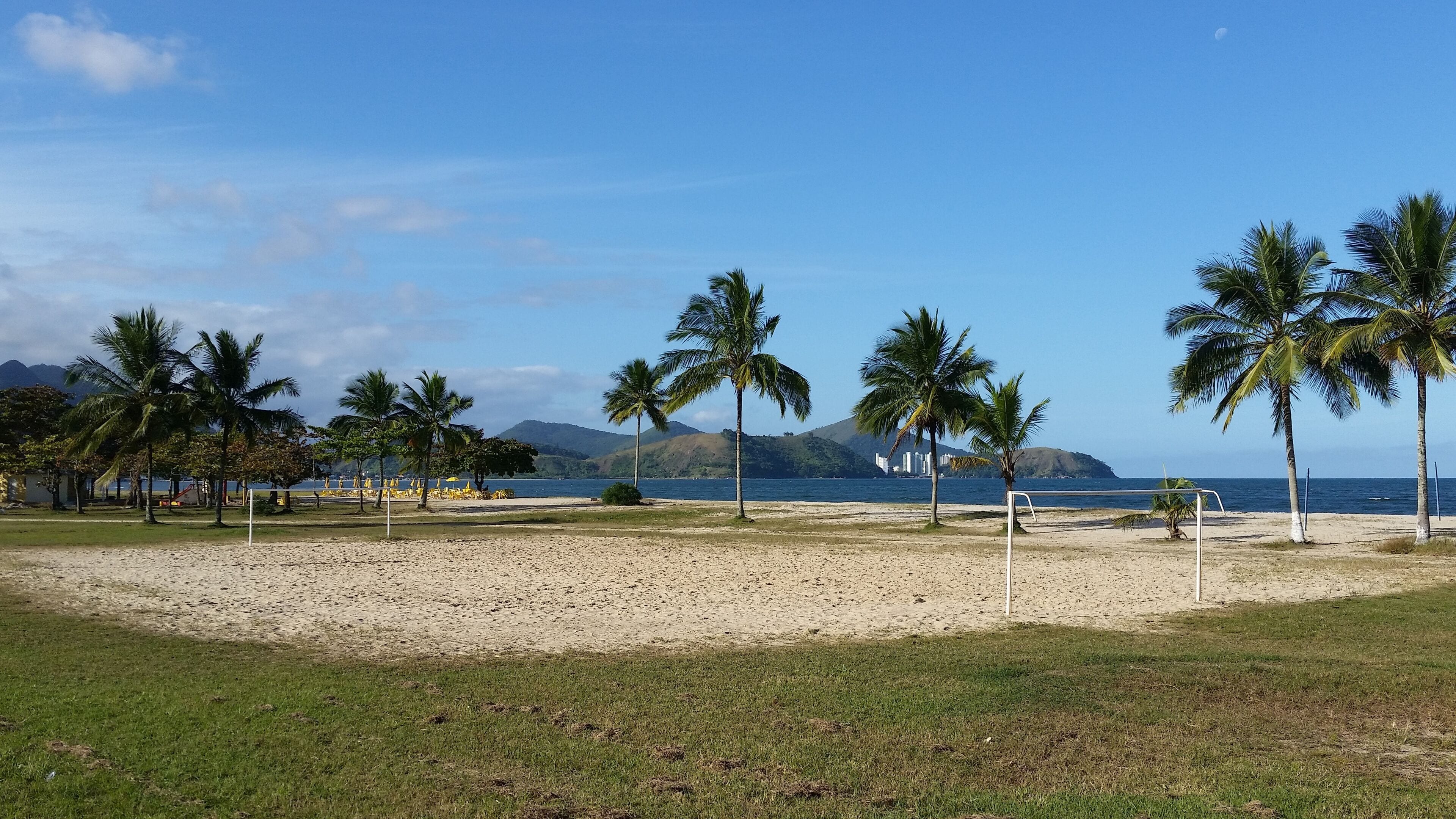 A beach with palm trees, a volleyball net, and a clear sky.