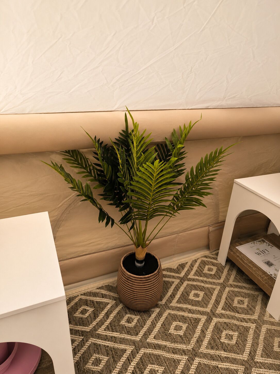 Een kamer met een kamerbreed tapijt, een witte bank, een klein witte tafel en een potplant met groene bladeren.