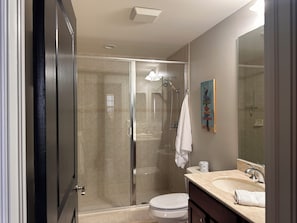 Douche, baignoire à jets, sèche-cheveux, serviettes fournies