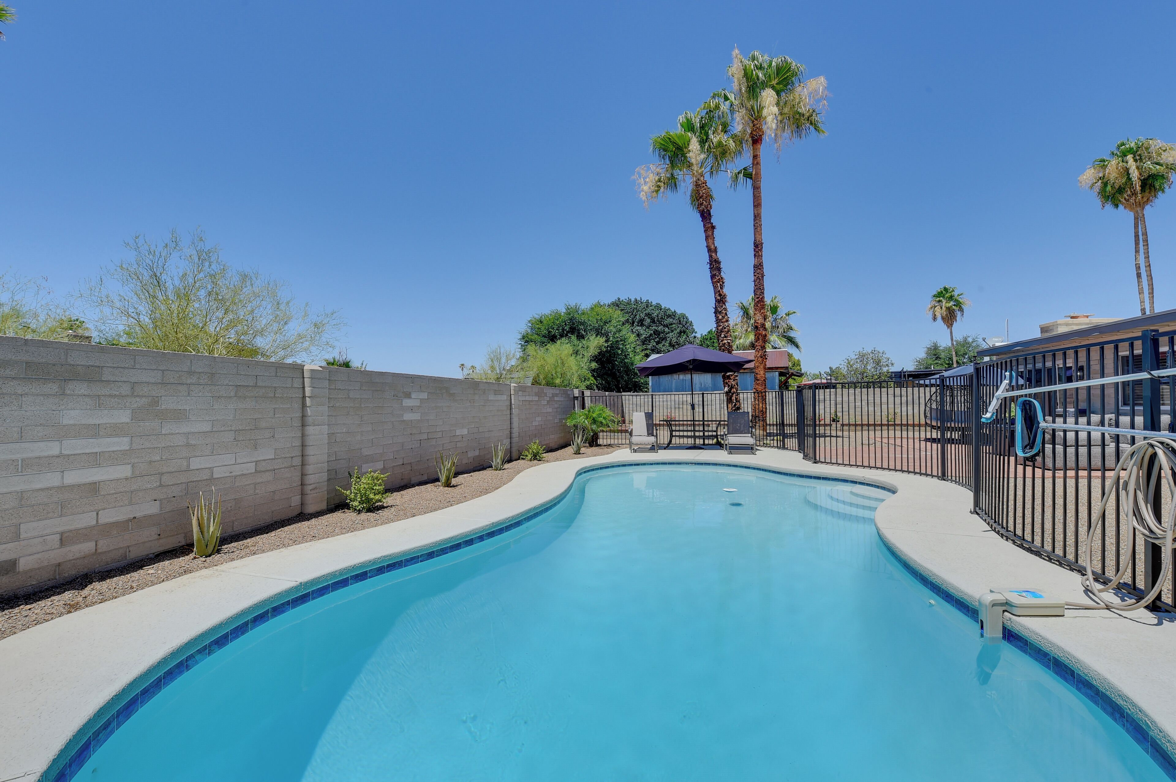 A swimming pool with a brick wall, palm trees, and a covered seating area.