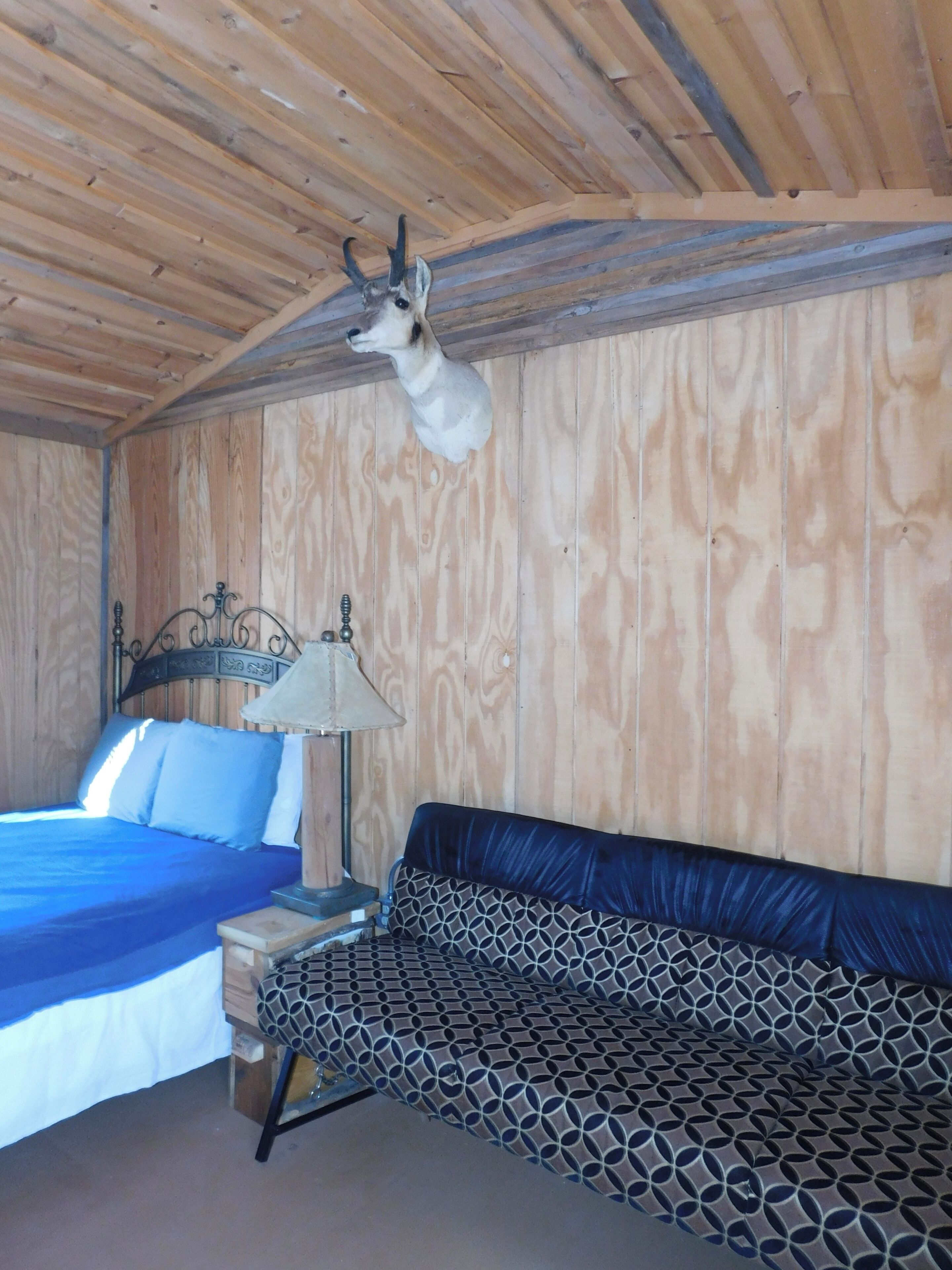 WiFi, bed sheets