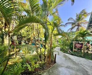 Property grounds - The Jungle Hotel and Bar (Bocas Del Toro)