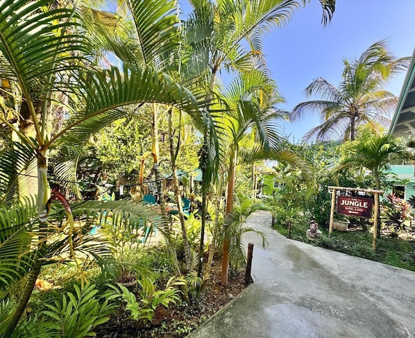 A pathway leading to a hotel named 'Jungle Hotel & Bar' surrounded by lush tropical vegetation. - The Jungle Hotel and Bar (Bocas del Toro)