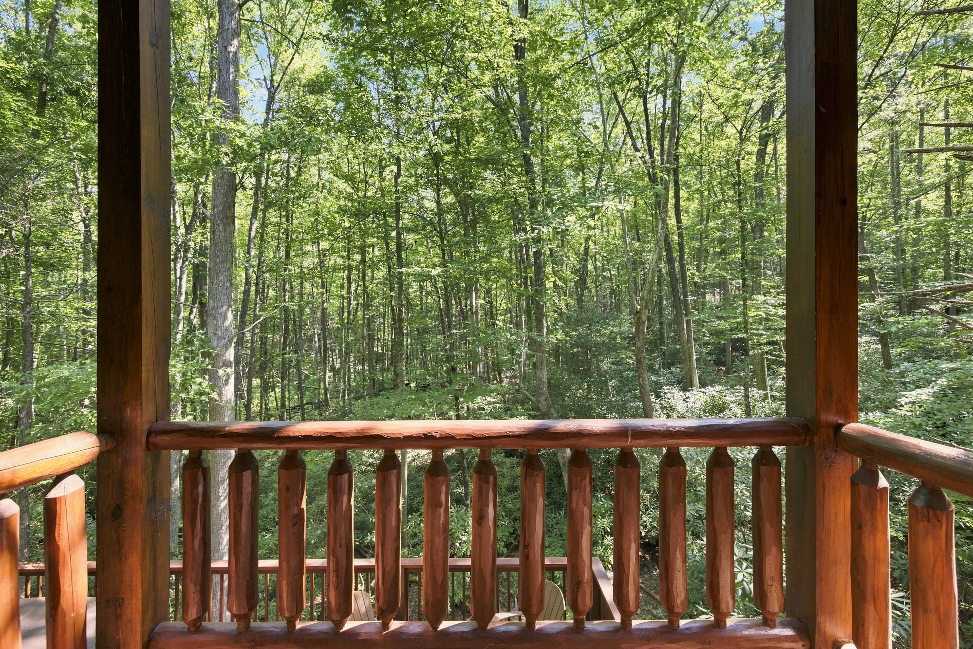 A wooden deck with a view of a dense forest.
