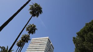 A multi-story building with a modern architectural design, surrounded by palm trees. - Marbella La Ola: 18th Floor (Marbella)
