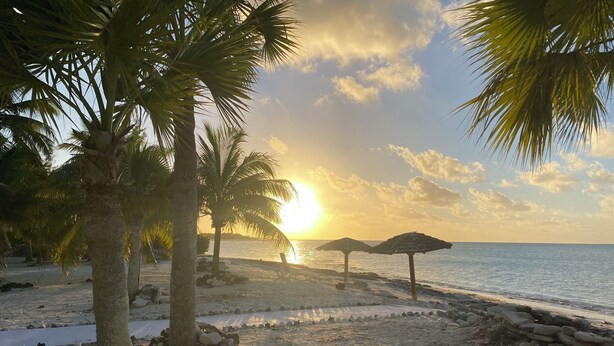 A beach with palm trees, a sunset, and two beach umbrellas. - Spectacular Beachfront Ultra Luxury Villa Stella Maris-Introductory Sale! (Sandy Point)